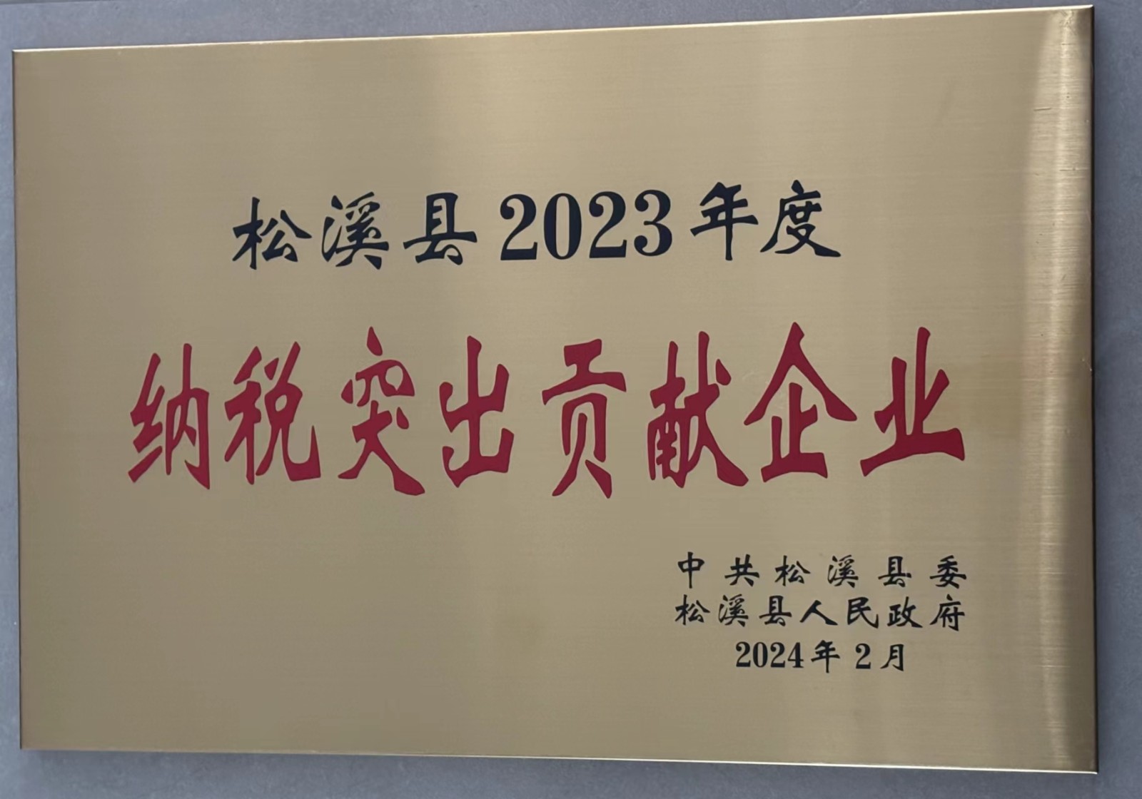 喜報！易順建工集團榮獲“松溪縣2023年度納稅突出貢獻企業(yè)”稱號