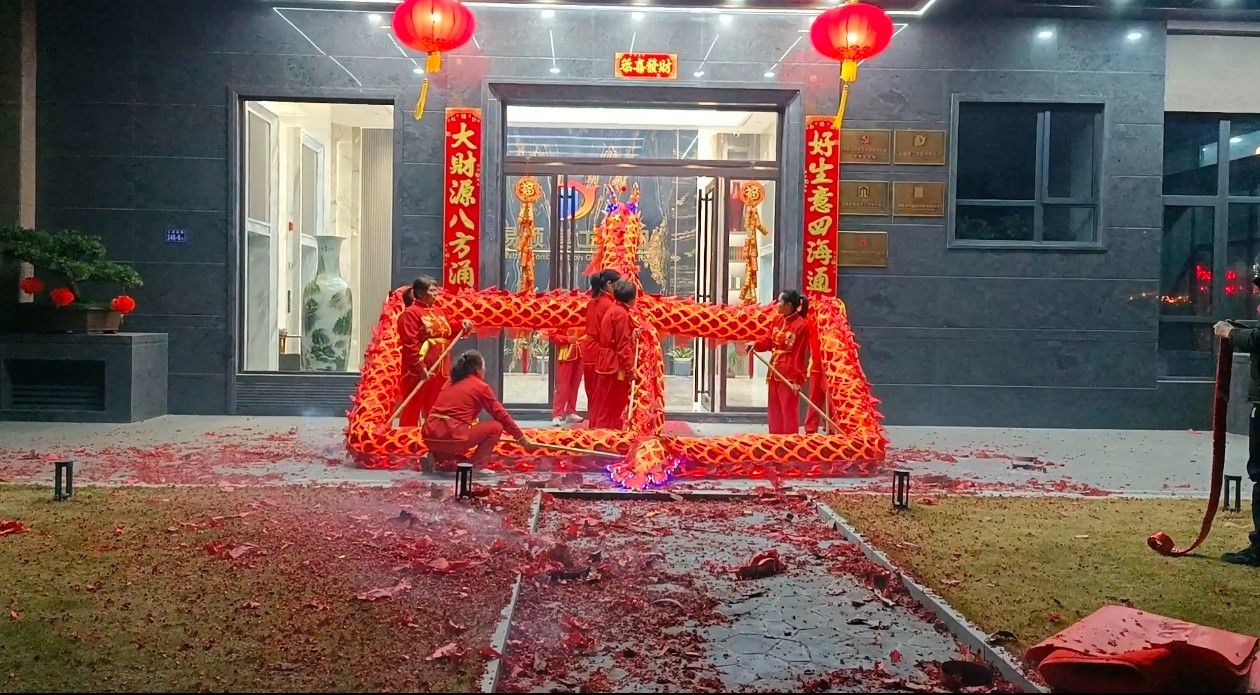 蛇舞新春,龍騰瑞氣