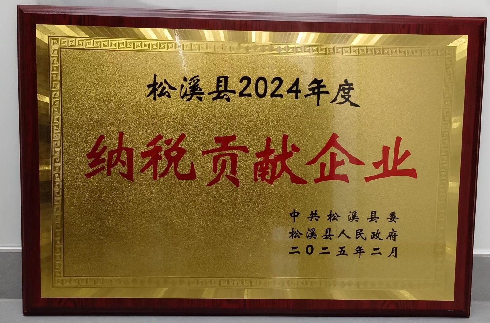 喜報!易順建工集團(tuán)榮獲“松溪縣2024年度納稅貢獻(xiàn)企業(yè)”稱號